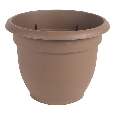 Bloem Bloem Ariana 13.75 in. H X 17.75 in. W Resin Traditional Planter Chocolate 20-56316CH